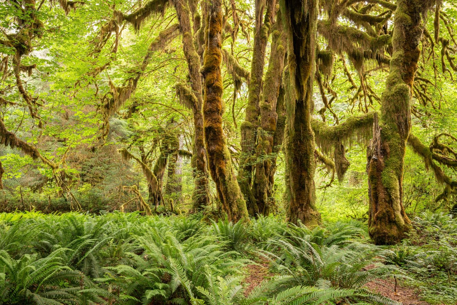 Environmental & Land Use Agreements notary services in Oregon