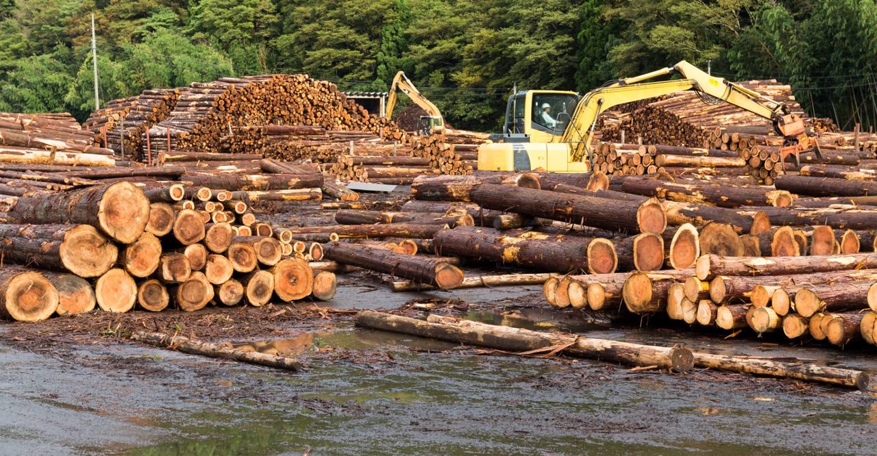Timber & Forestry notary services in Montana